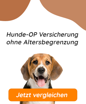 Hunde OP Versicherung ohne Altersbegrenzung