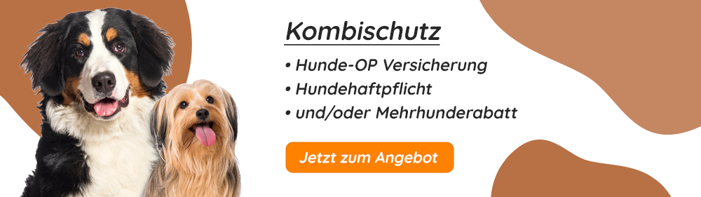 Hunde-OP Versicherung ohne Altersbegrenzung Kombischutz