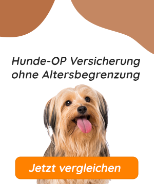Hunde OP Versicherung ohne Altersbegrenzung