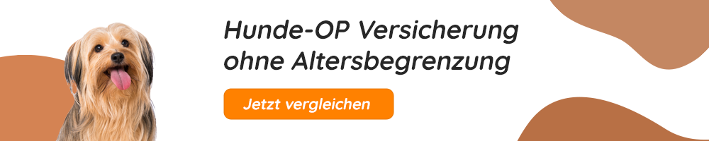 Hunde OP Versicherung ohne Altersbegrenzung